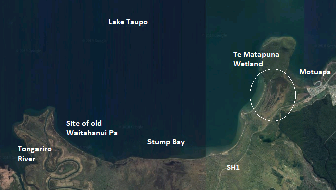 South Taupo Wetlands.png