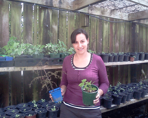 Potting.gif