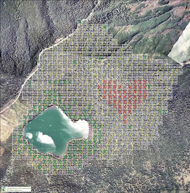 Adopt-a-hectare-news.gif