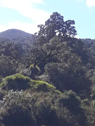 First blog post for our trappers