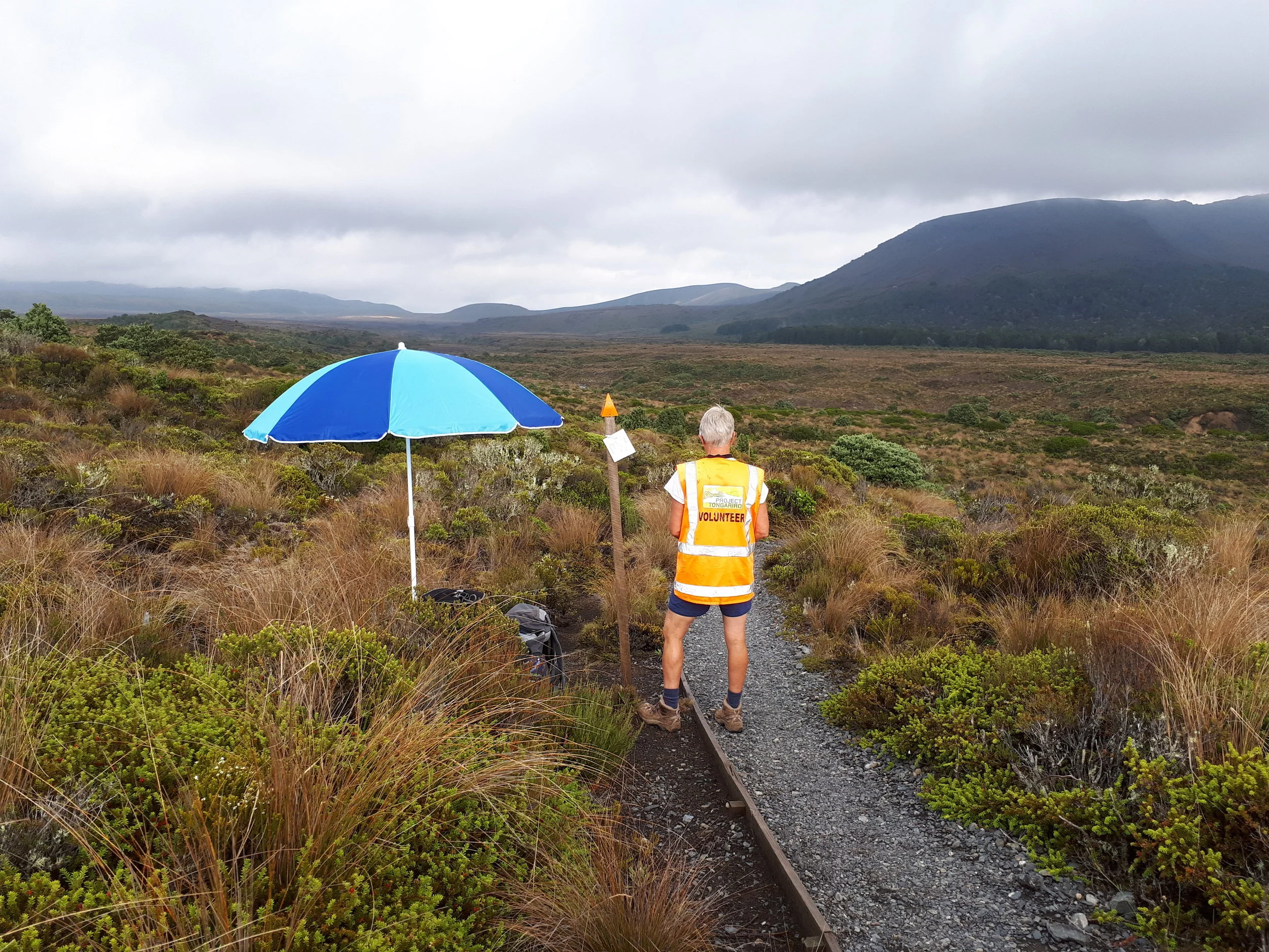 Tussock Traverse marshall.jpg