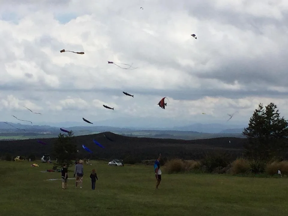 kite day 7 img.jpg
