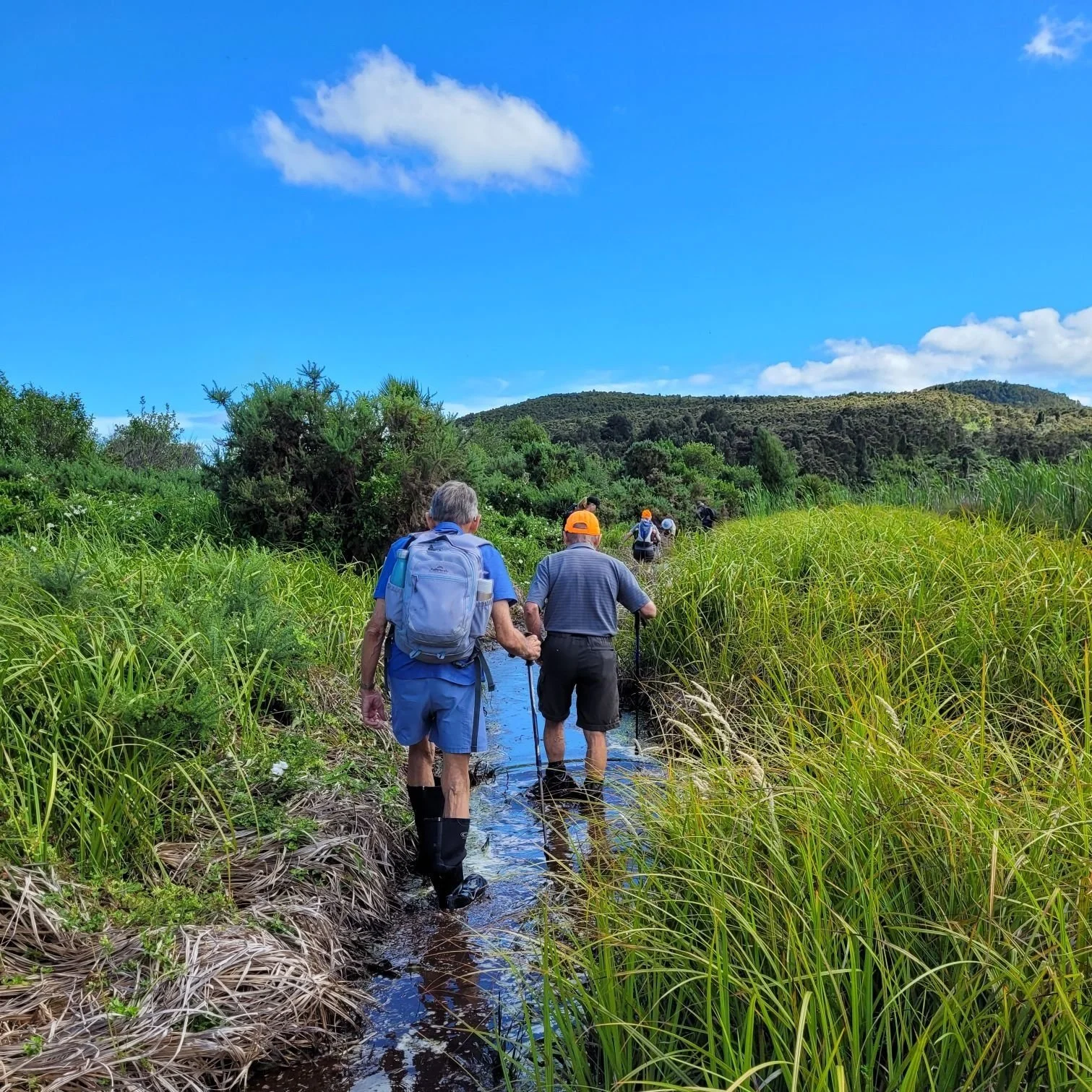 That’s a wrap - Mahi Aroha 2023