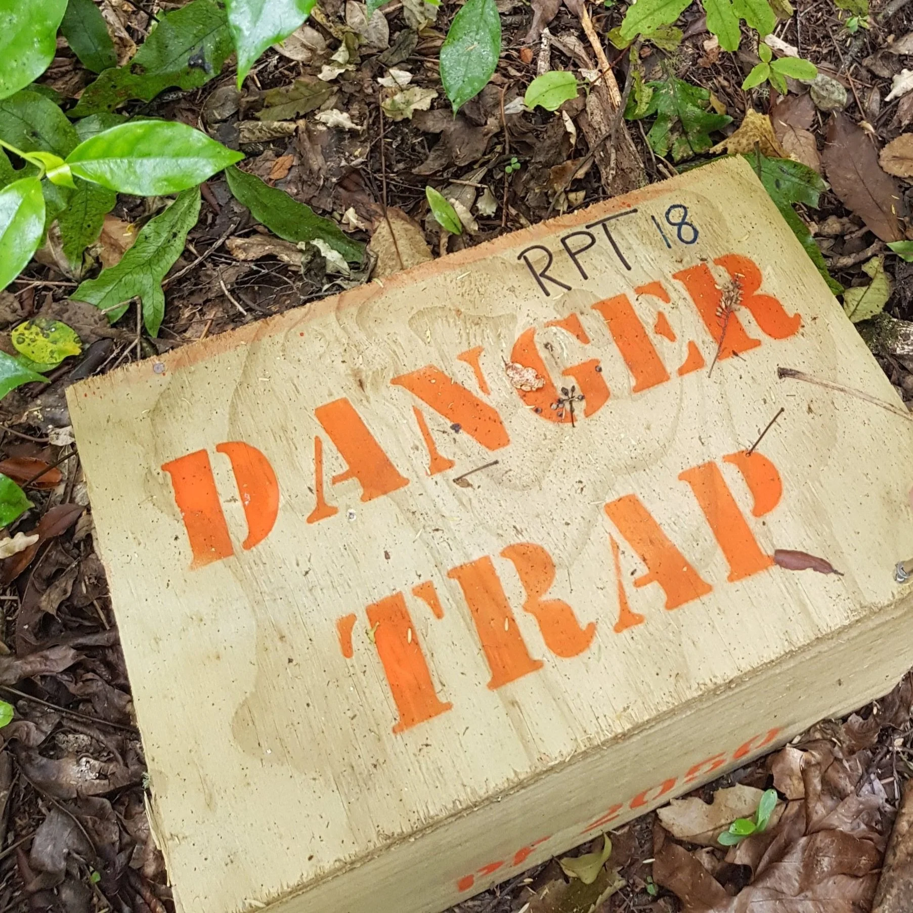 Motuoapa Trapping Volunteers Needed