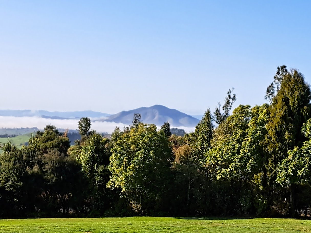 Pirongia Field Trip Sept 2023