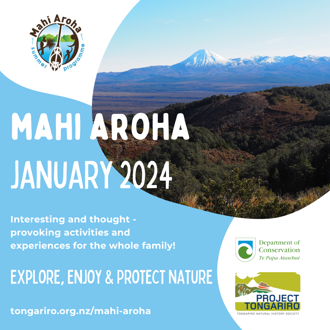 Mahi Aroha Summer Programme 2025 Explore, Enjoy, and Protect Nature