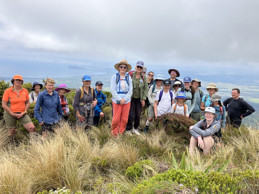 0.3_Mt Tihia Mahi Aroha 2024 (Photo Shirley Potter).jpg