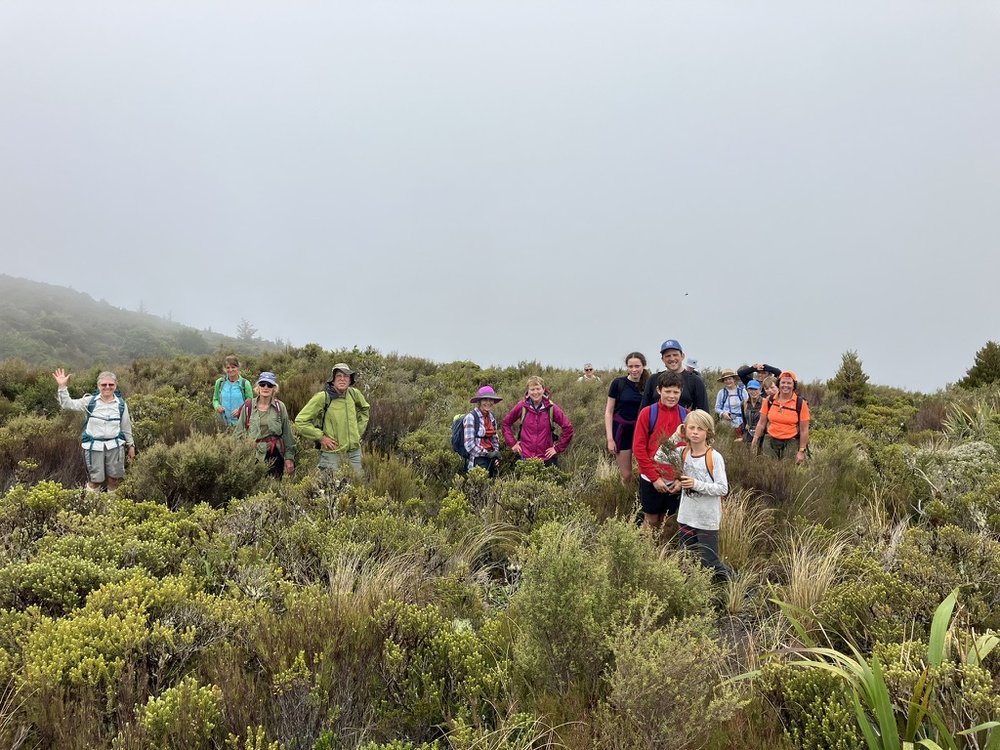 0.1_Mt Tihia Mahi Aroha 2024 (Photo Shirley Potter).jpeg