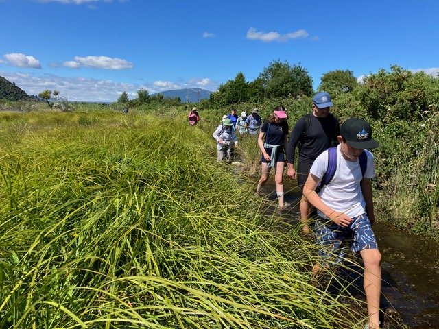 0.5_Wetlands Wander Mahi Aroha 2024 (Shirley Potter)jpg.jpeg