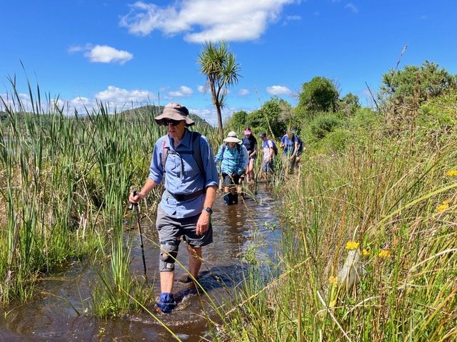 0.6_Wetlands Wander Mahi Aroha 2024 (Shirley Potter)jpg..jpeg