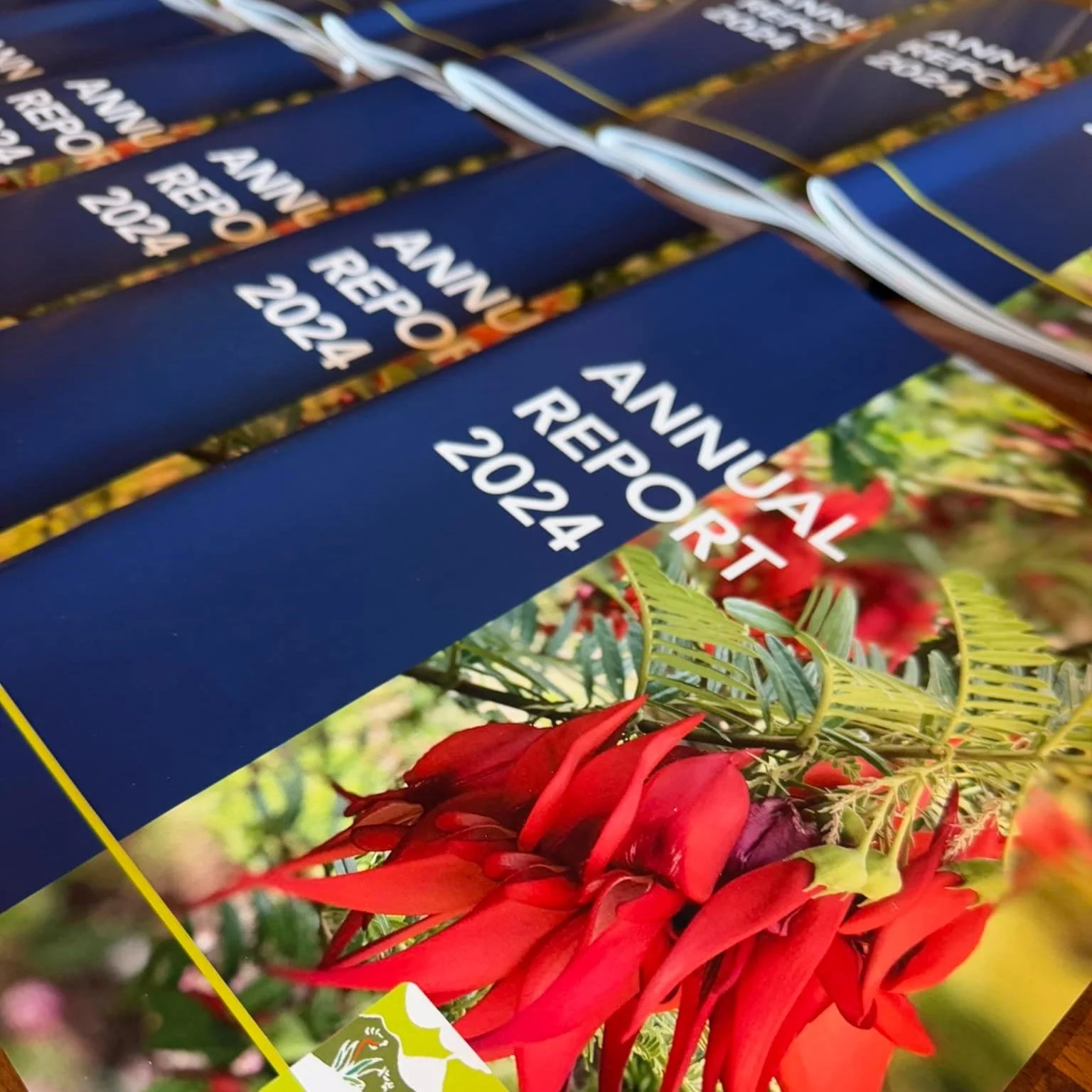 Project Tongariro 40th Anniversary AGM