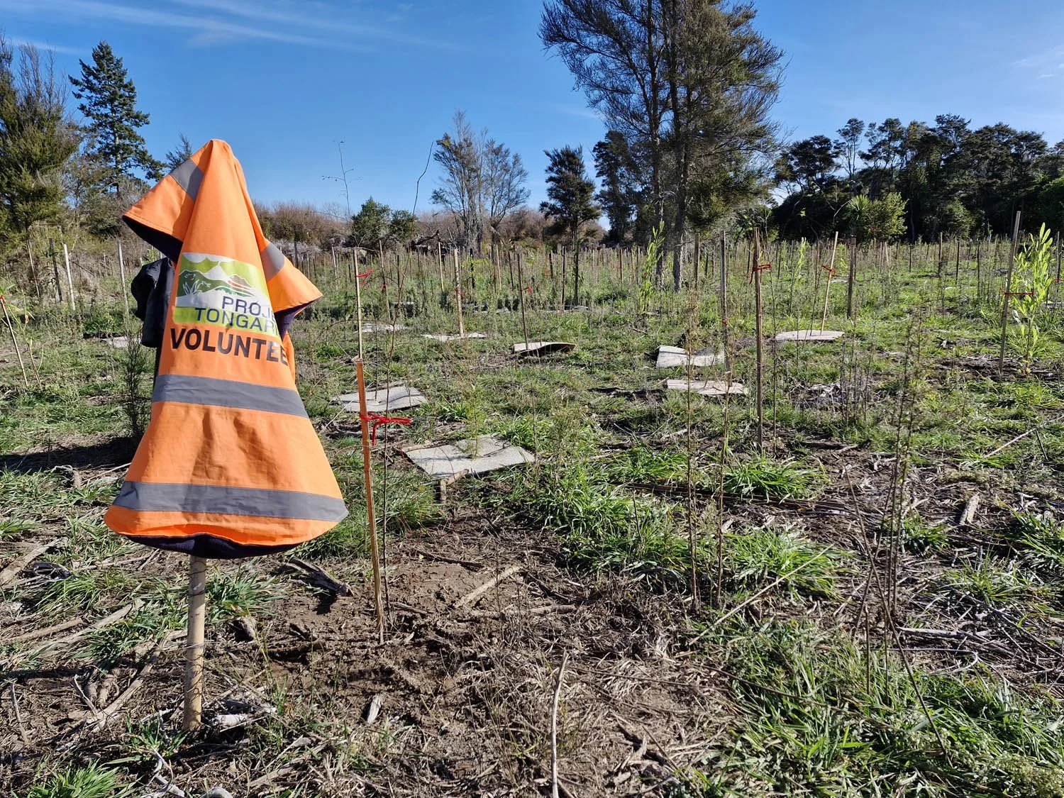 Oruatua Planting Day-15 June 2025-AC20250615_122331.jpg
