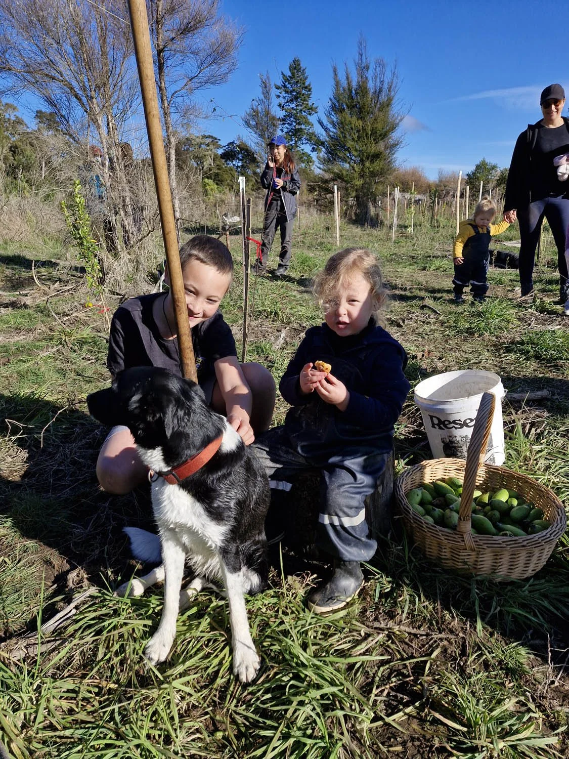Oruatua Planting Day-15 June 2025-AC20250615_105700.jpg