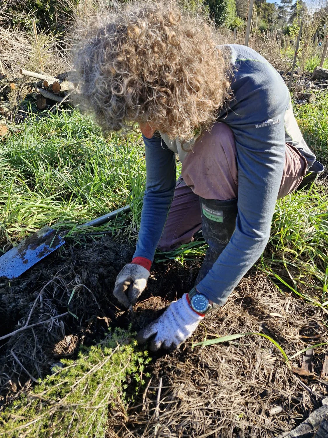 Oruatua Planting Day-15 June 2025-AC20250615_104728.jpg