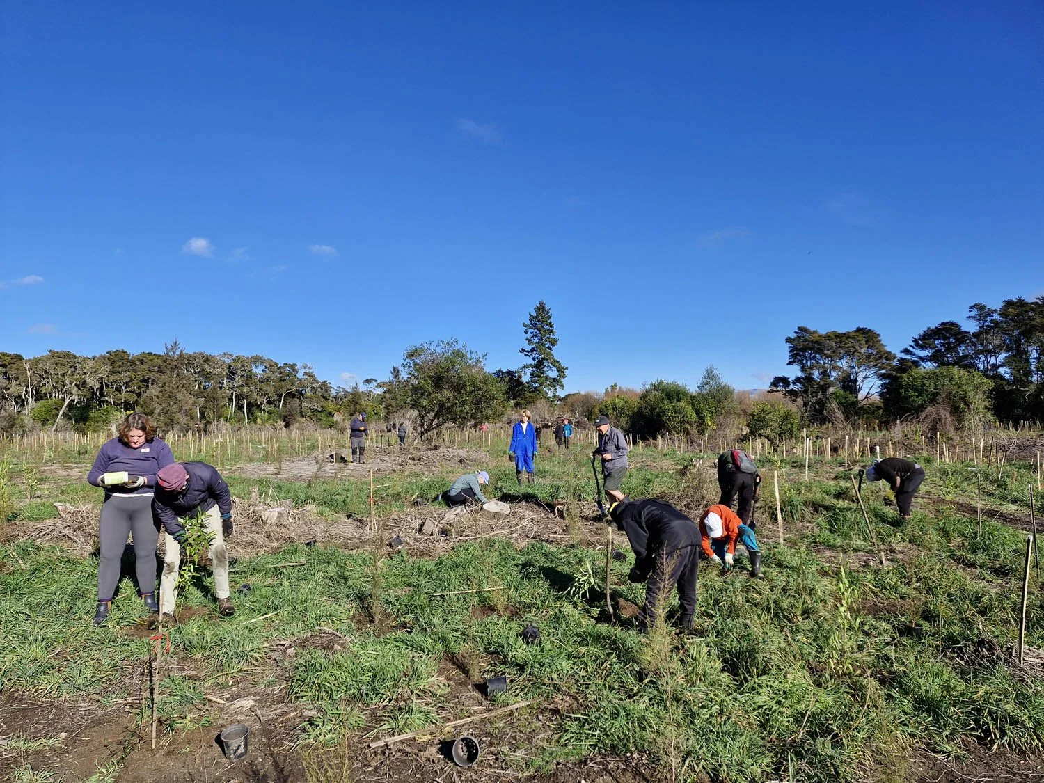 Oruatua Planting Day-15 June 2025-AC20250615_104530.jpg