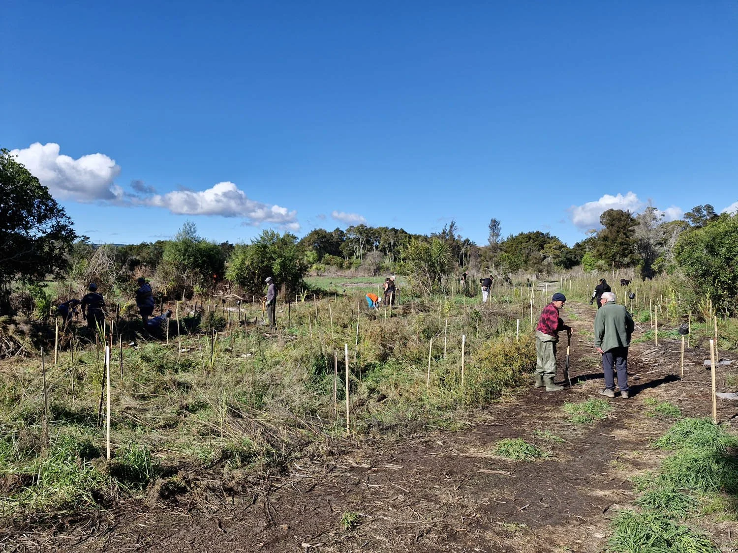 Oruatua Planting Day-10 May 2025-AC-20250510_124546.jpg