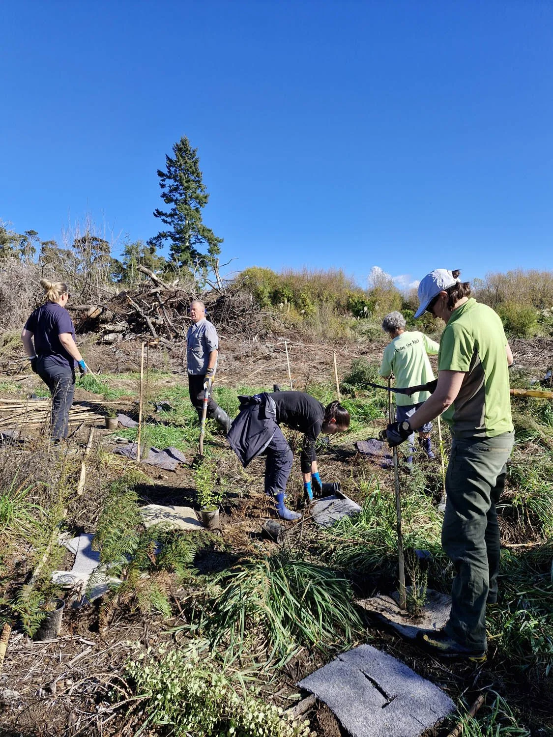 Oruatua Planting Day-10 May 2025-AC-20250510_124642.jpg