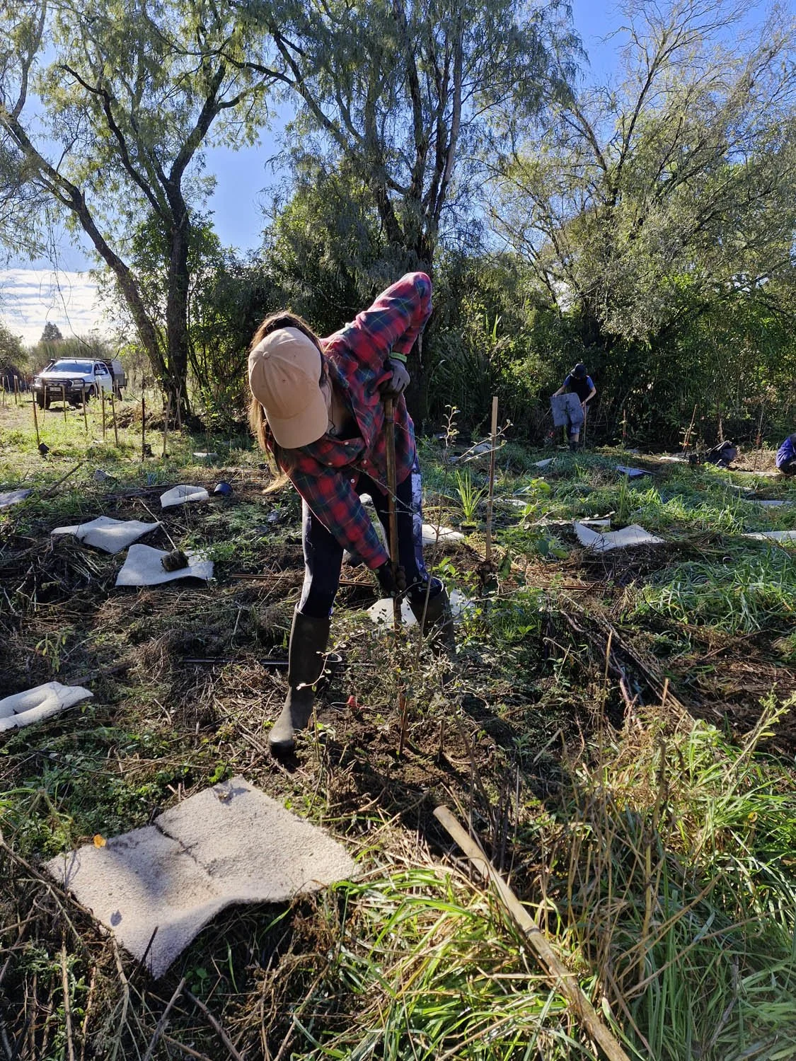 Oruatua Planting Day-10 May 2025-AC-20250510_102550.jpg