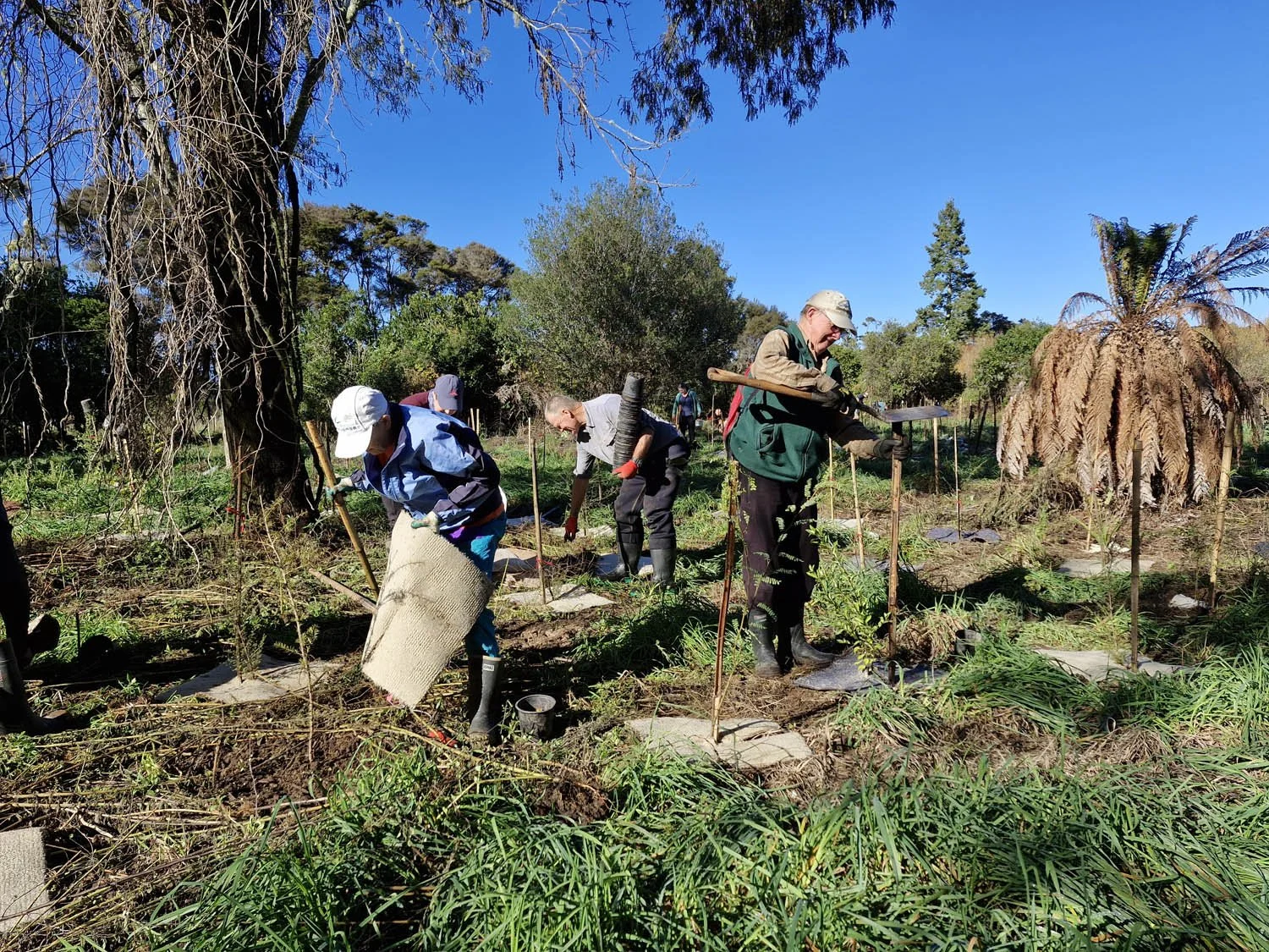 Oruatua Planting Day-10 May 2025-AC-20250510_102540.jpg