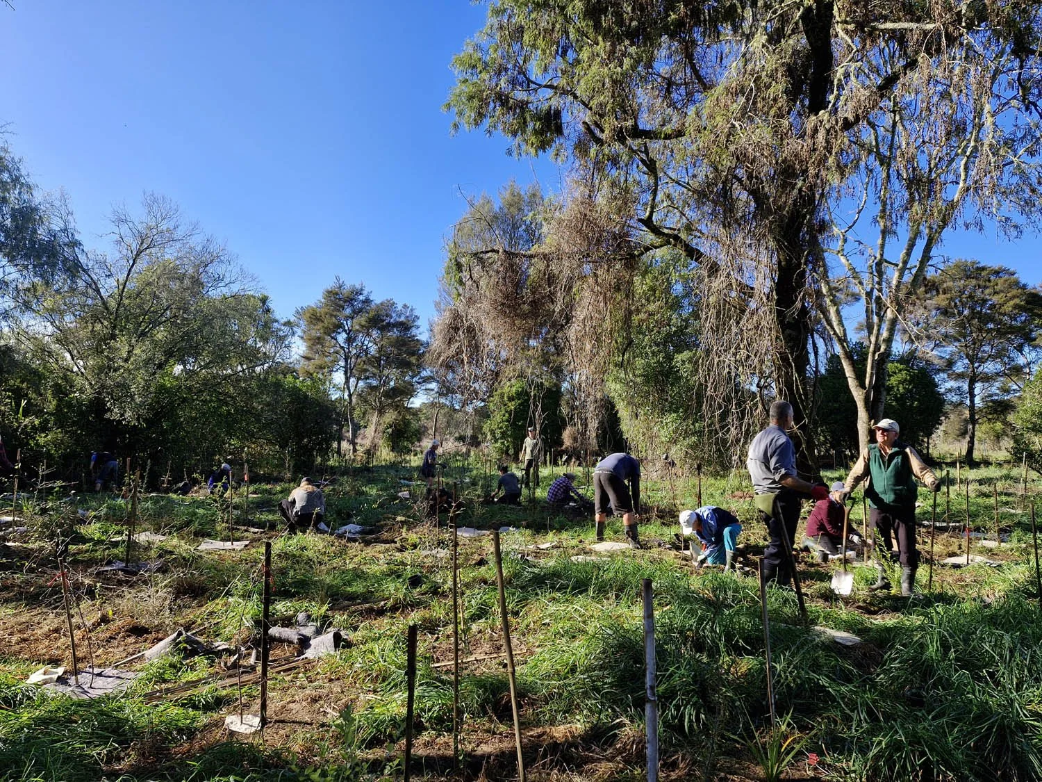 Oruatua Planting Day-10 May 2025-AC-20250510_102524.jpg