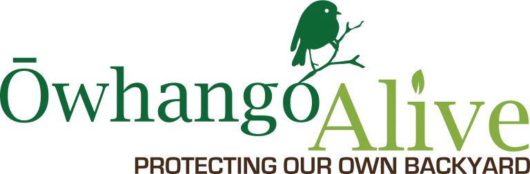 Owhango-Alive-logo-FULL-COLOUR.png