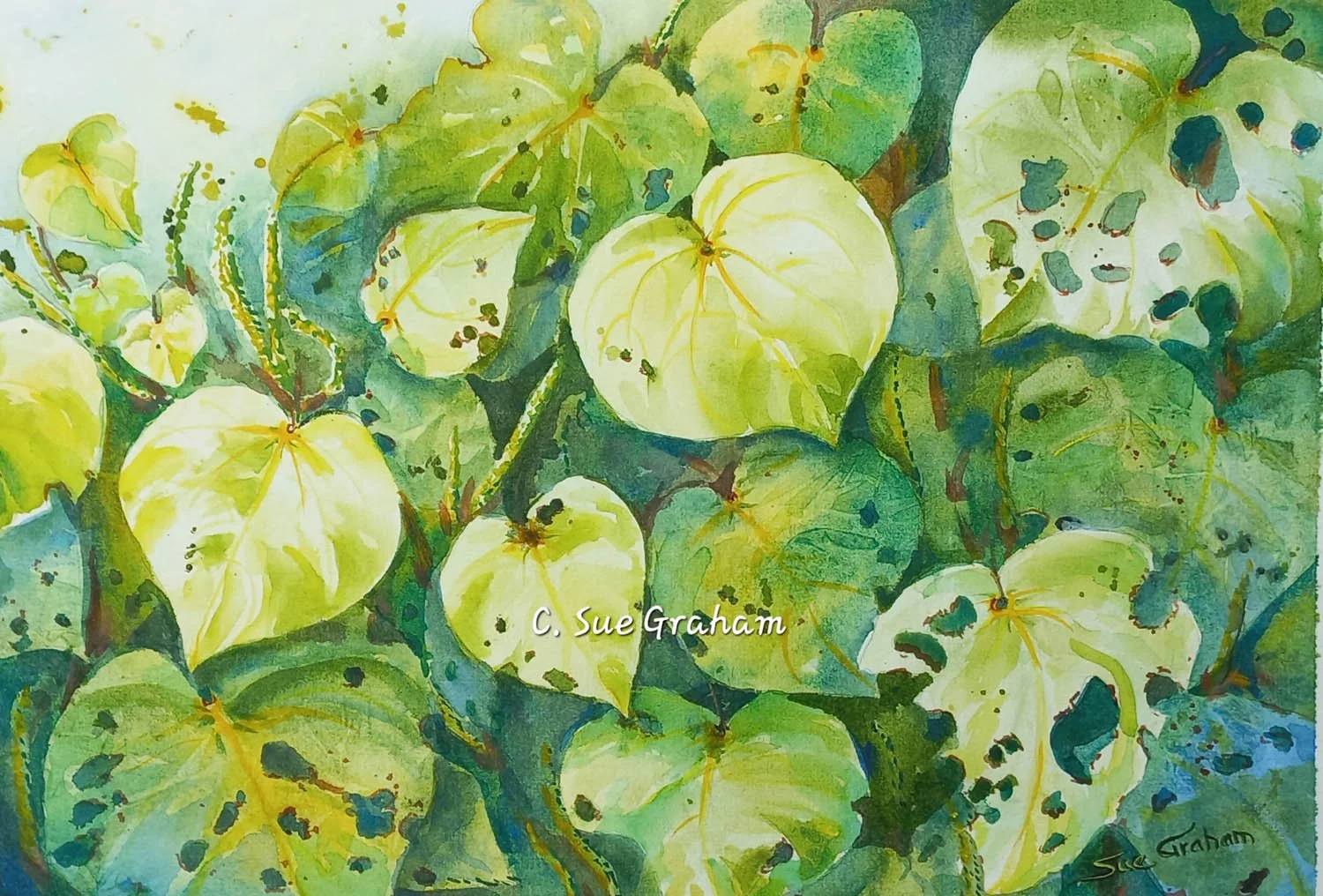 Copy of 2024 2024  20230723_135458.jpg