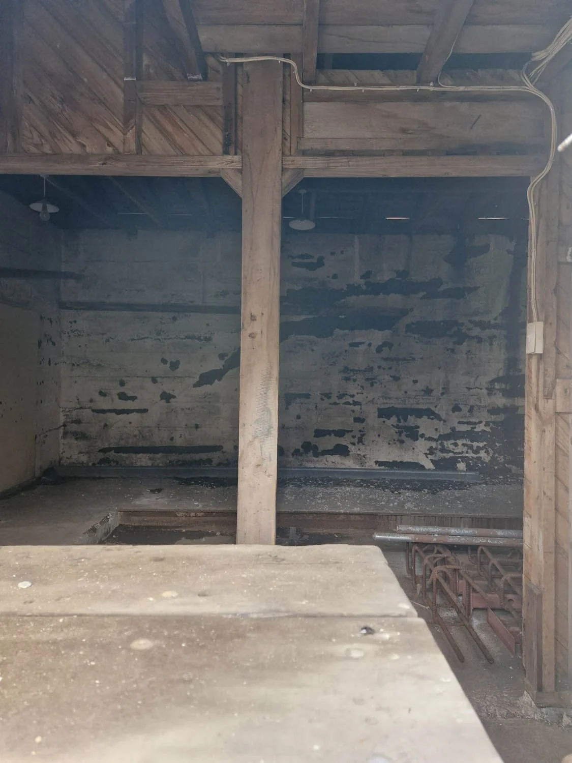 PT AGM 2025_No 2 Drive Building_AC_20251123_102955.jpg