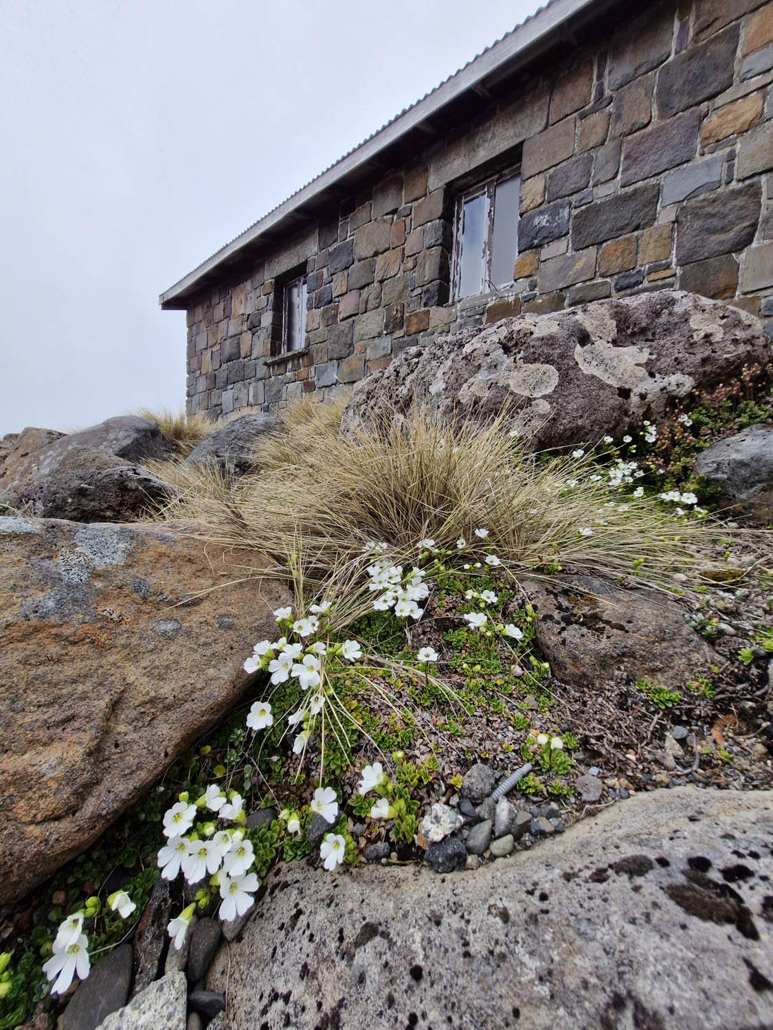 PT AGM 2025_No 2 Drive Building_AC_20251123_104039.jpg