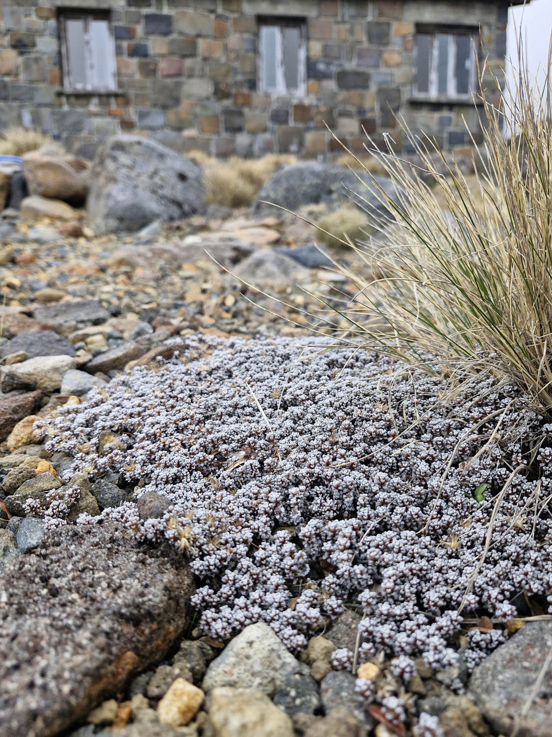 PT AGM 2025_No 2 Drive Building_AC_20251123_104147.jpg