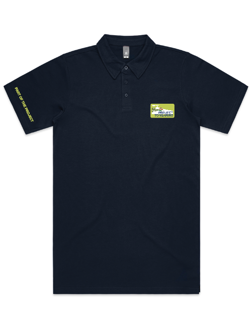 Part of the Project Polo Visual.png