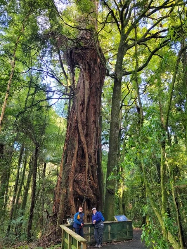 20240728_132743 (1).jpeg