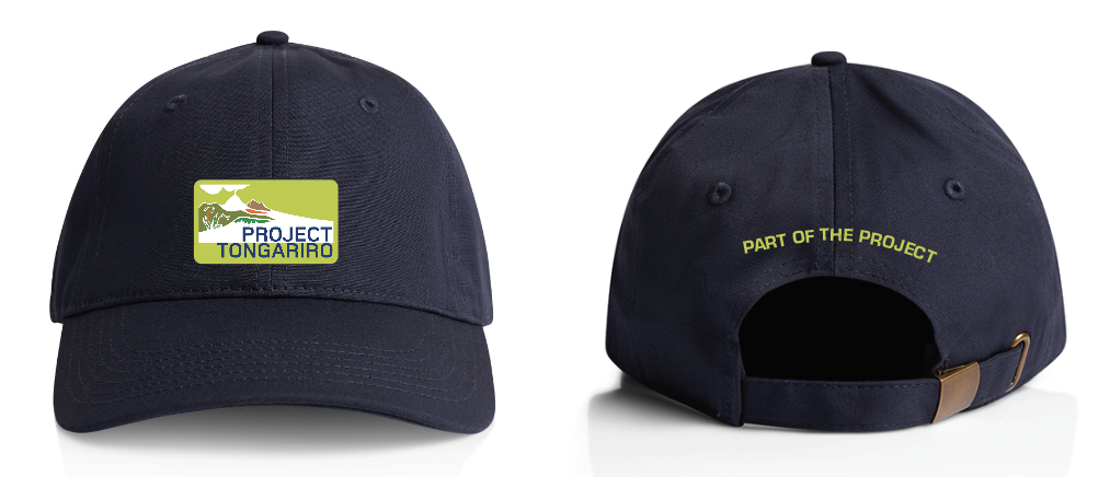 Part of the Project Cap Visual.png