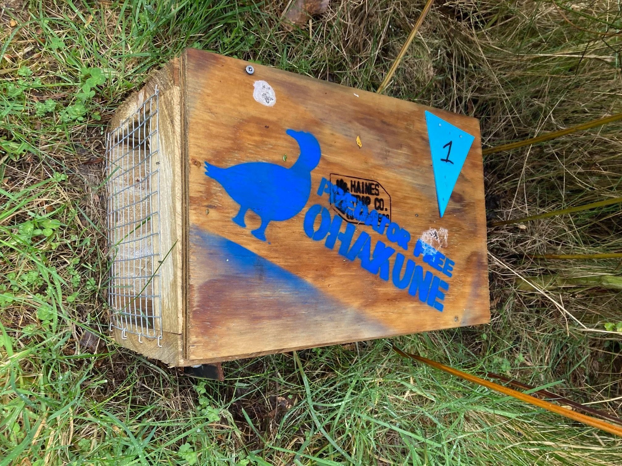 PFO+Trap+Stencilled.jpg