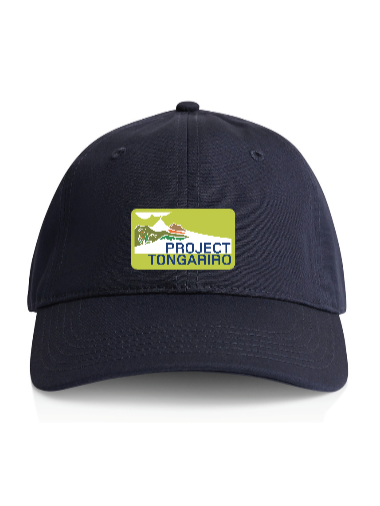 Part+of+the+Project+Cap+Front+Visual.png