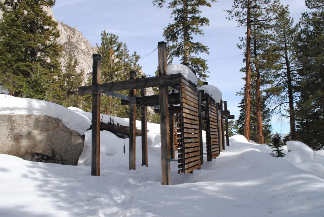 whitney snowshoe 8.png