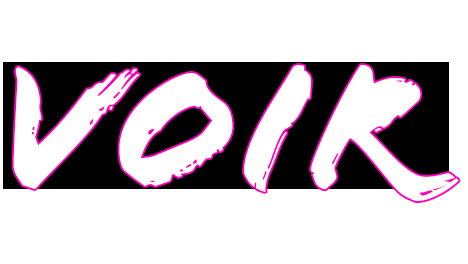 VOIR LOGO.png