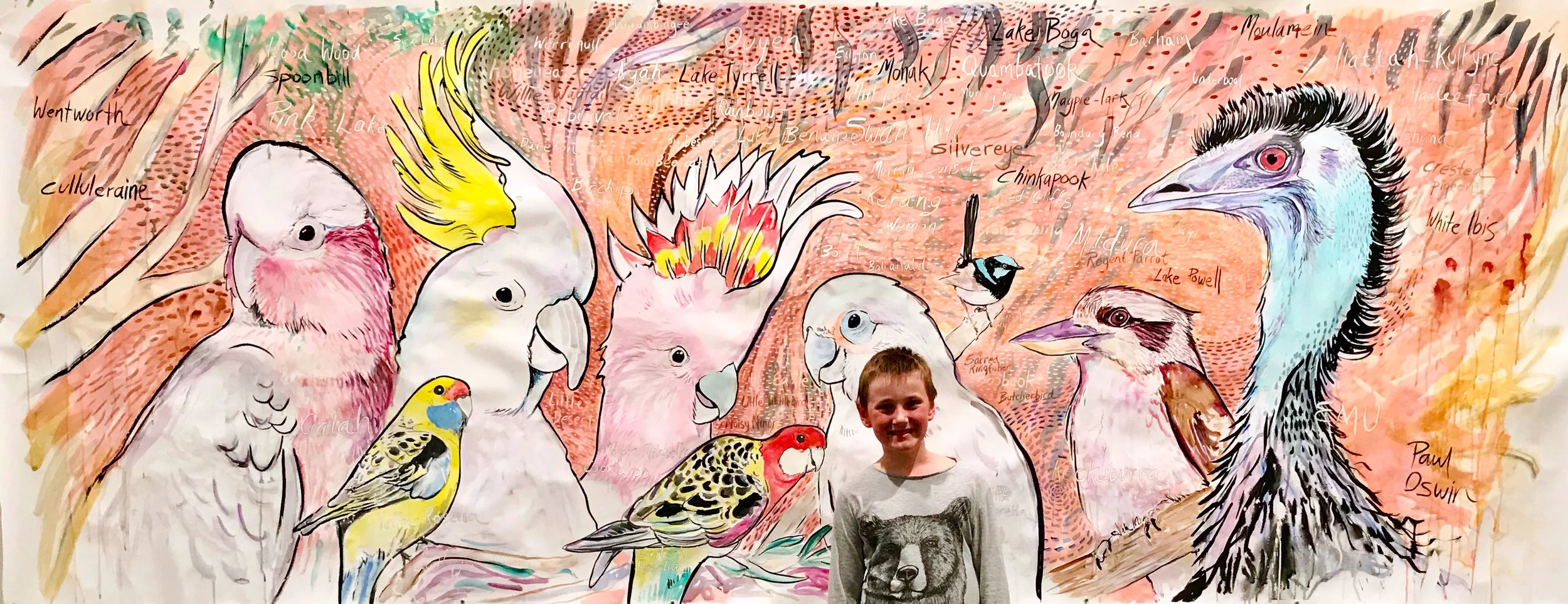 Mallee Birds and Max at the Swan Hill Regional Art Gallery