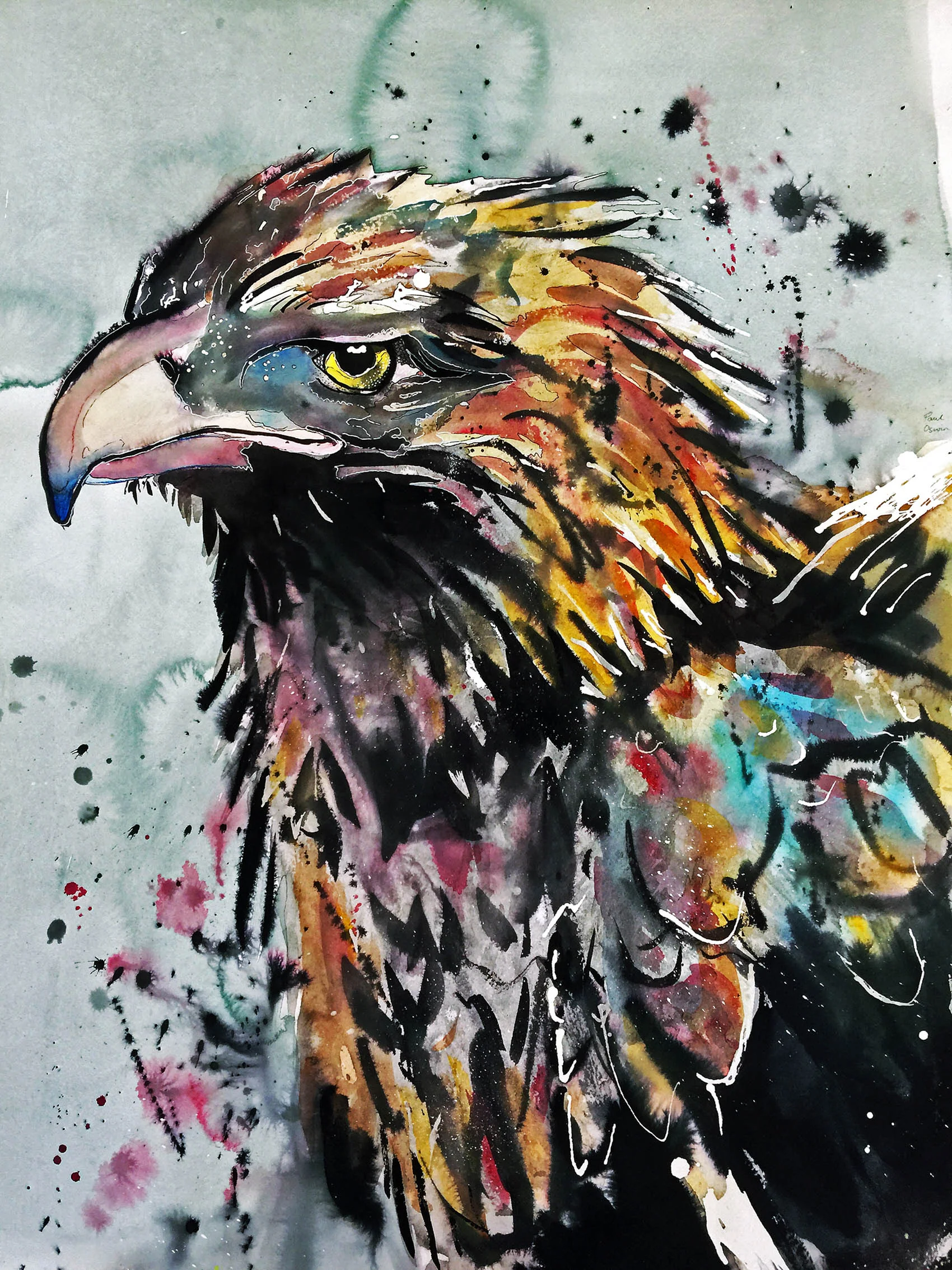 Expressive Eagle