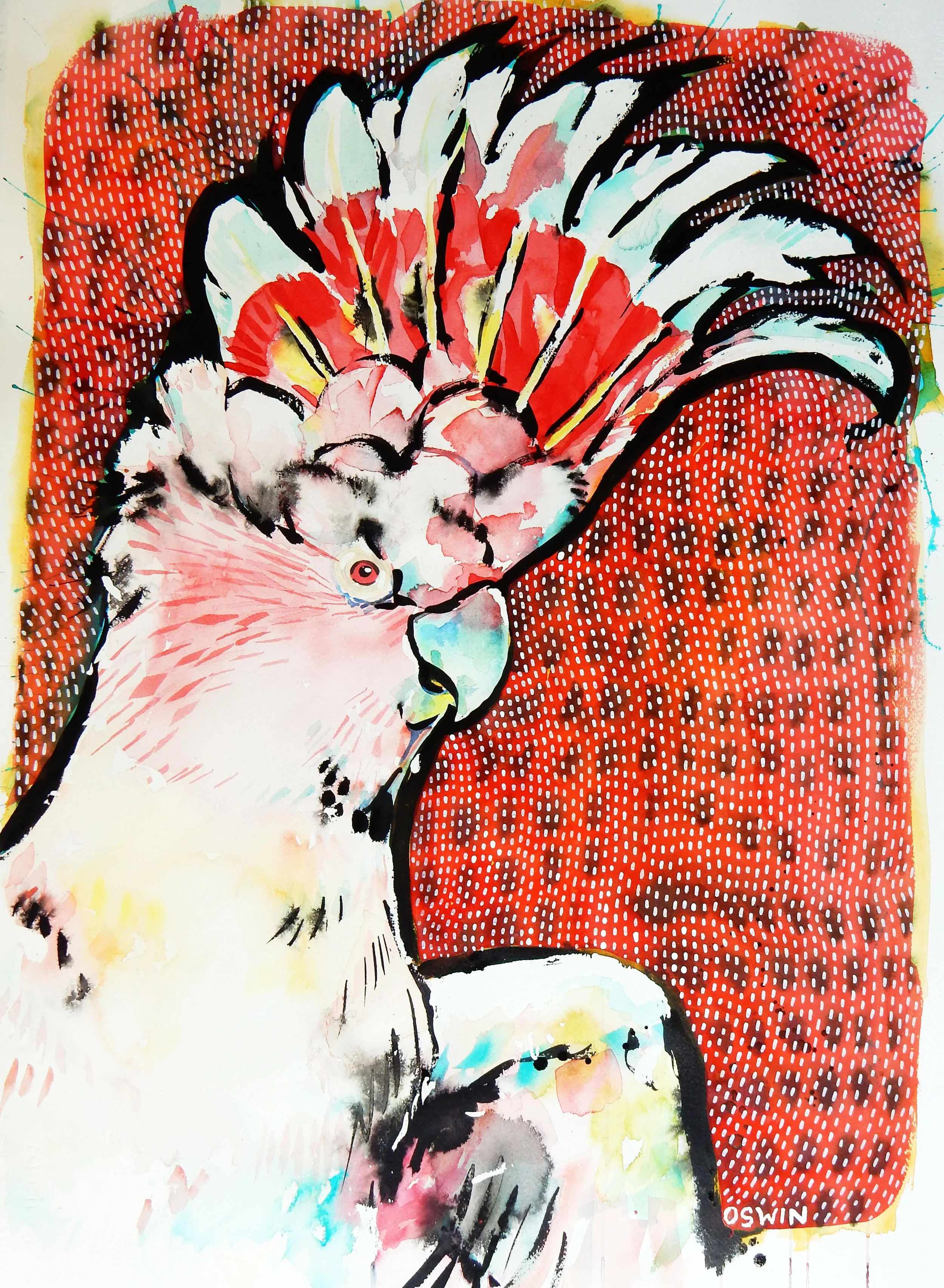 Major Mitchell's Cockatoo
