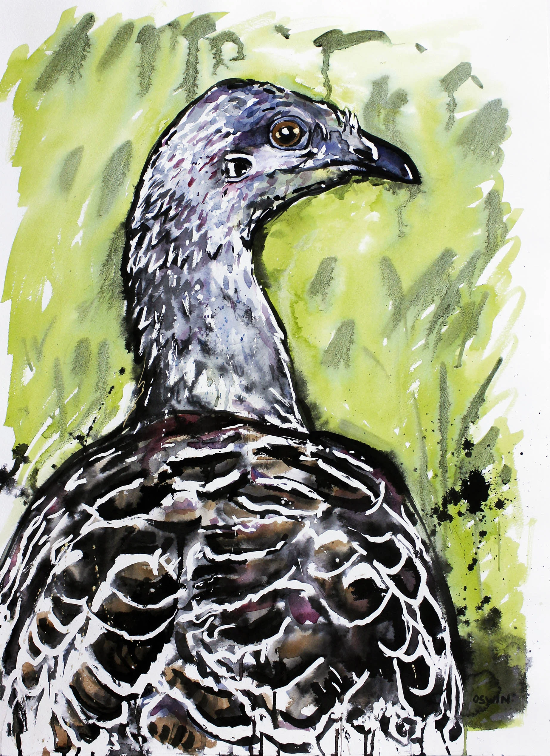 Mallee Fowl