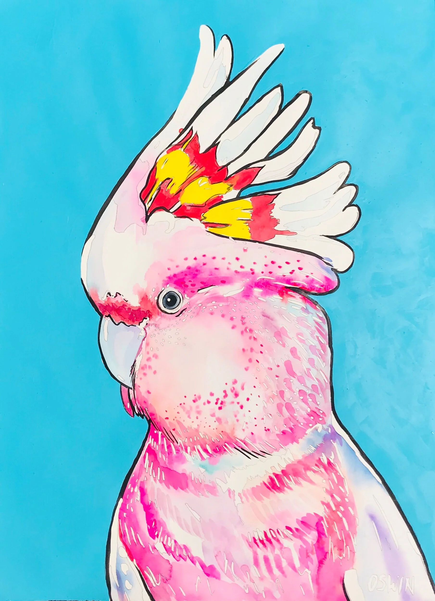 3FA4CA27-0AD8-4B4E-9174-B21964DB871C