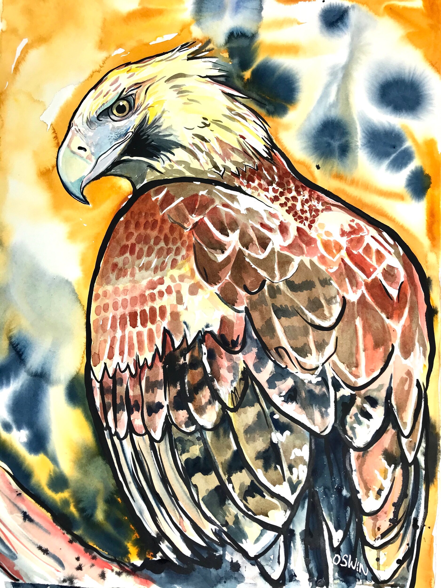 2141D749-87F6-4F85-AE80-D1DD955DB397