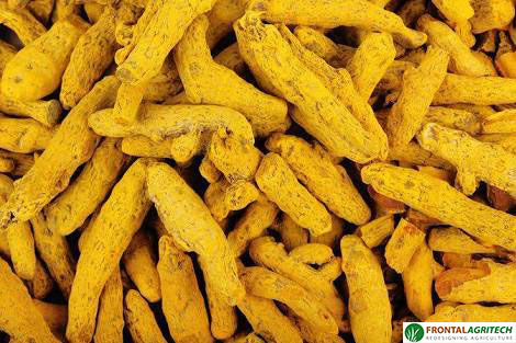 dried-turmeric.jpg