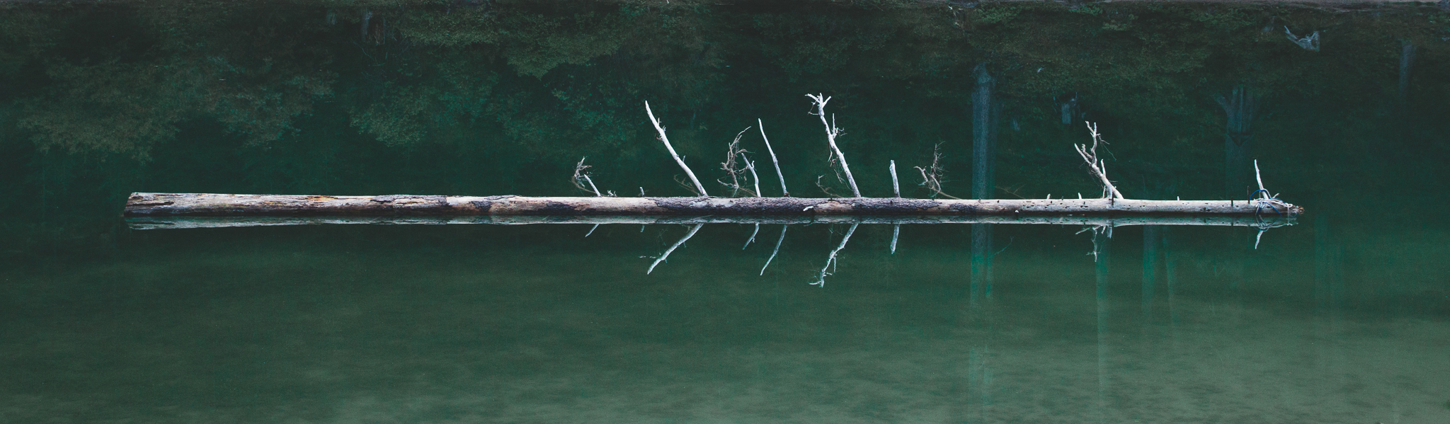 _MG_3525.jpg