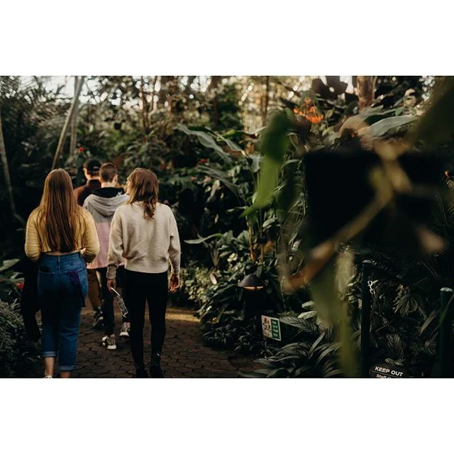 Conservatory adventureeeeee