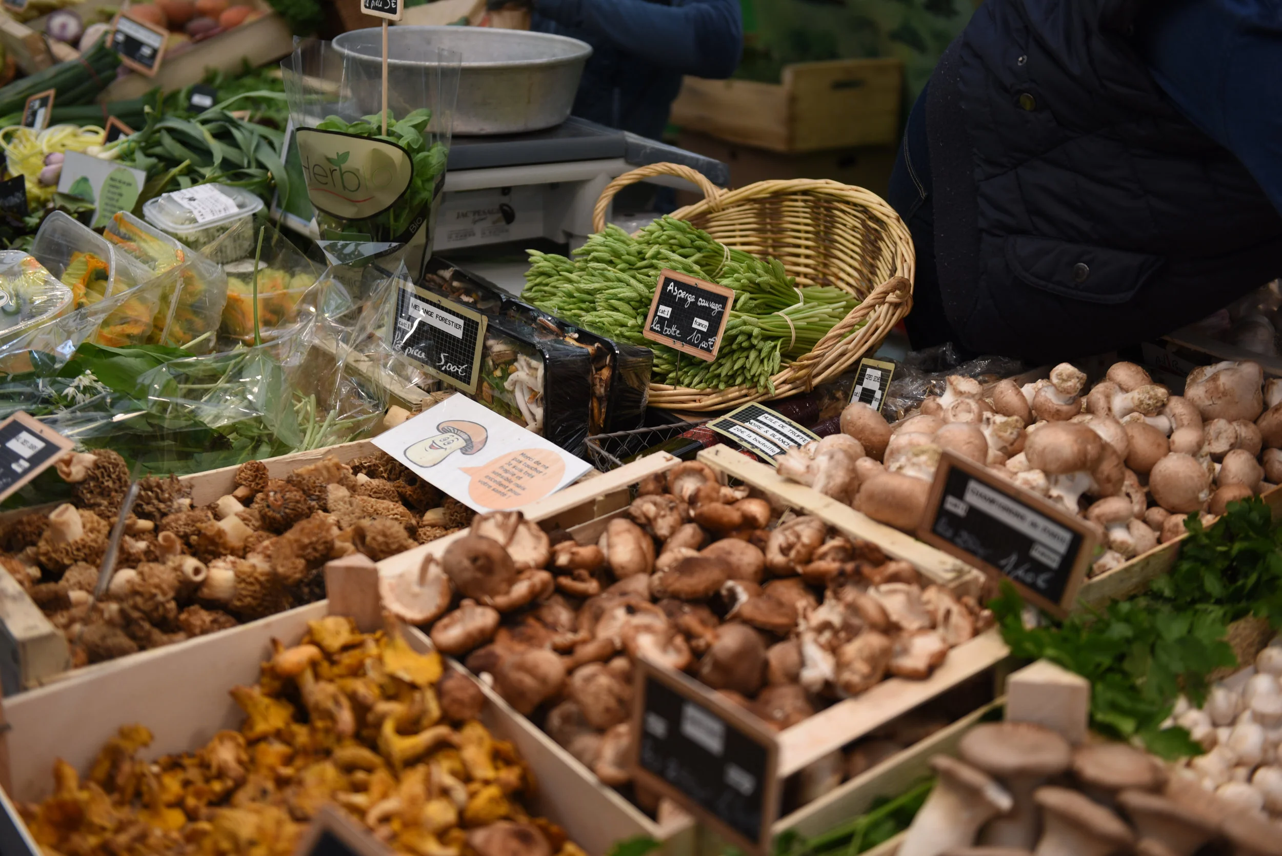 VeroniqueMarketTourApril2018-80.jpg