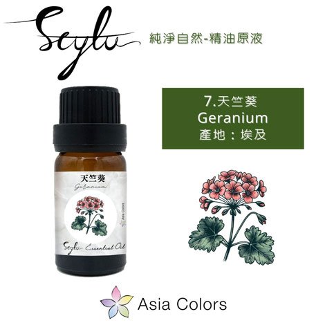 天竺葵 - Geranium