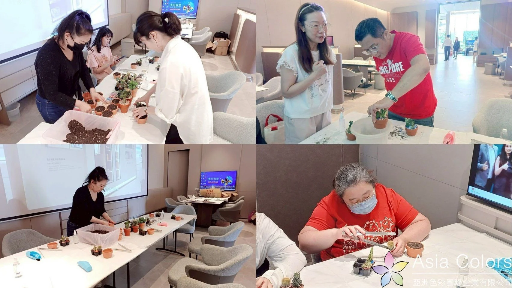 LINE_ALBUM_250705板橋多肉植栽_260819_8.jpg