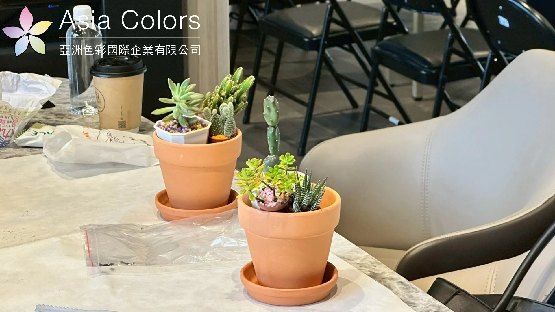 LINE_ALBUM_20251025新竹 多肉_260820_1.jpg