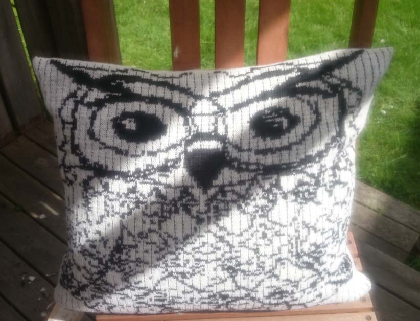 Owl pillow 2016-0707.jpg